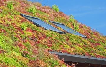 Boreham living roof systems
